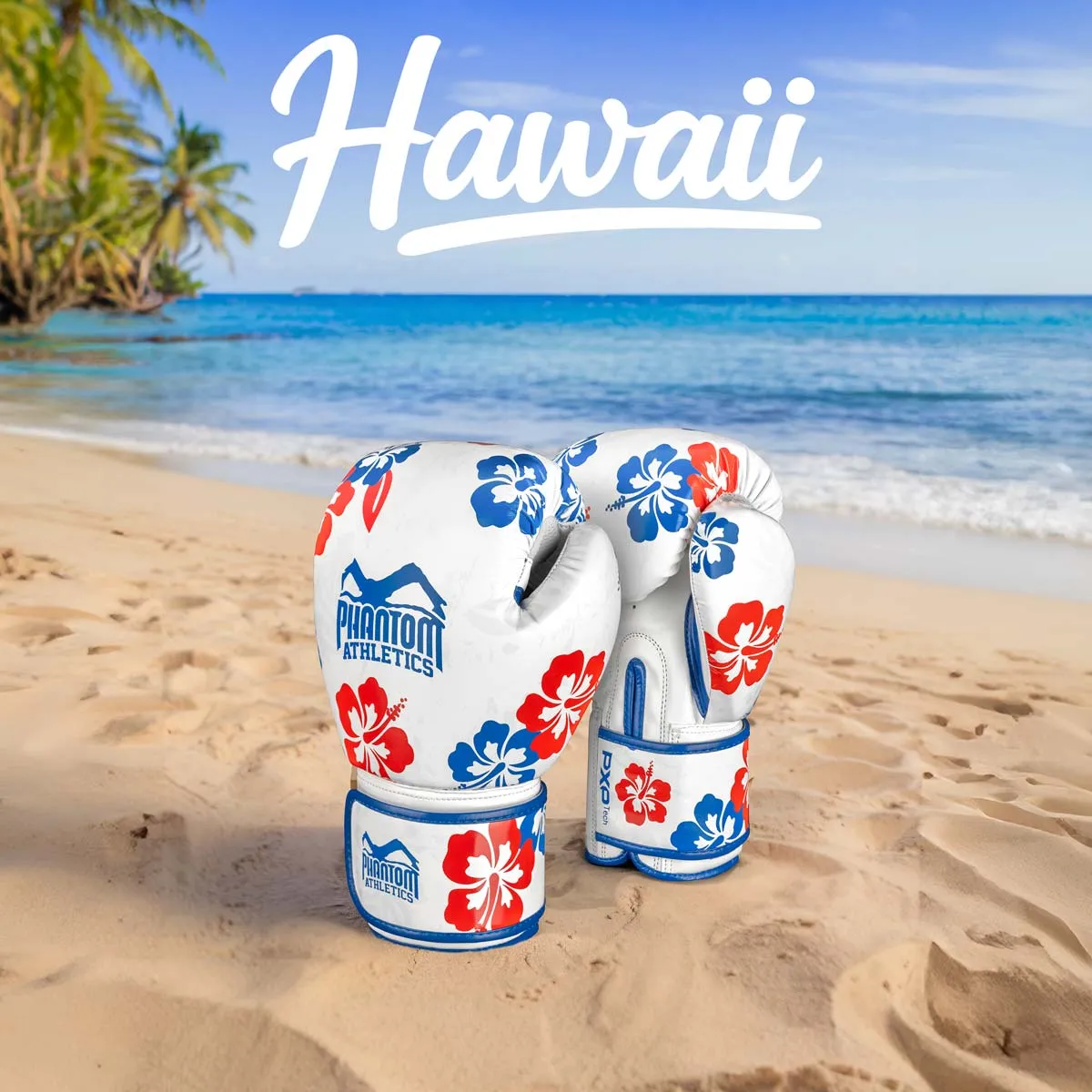 Boxhandschuhe Hawaii