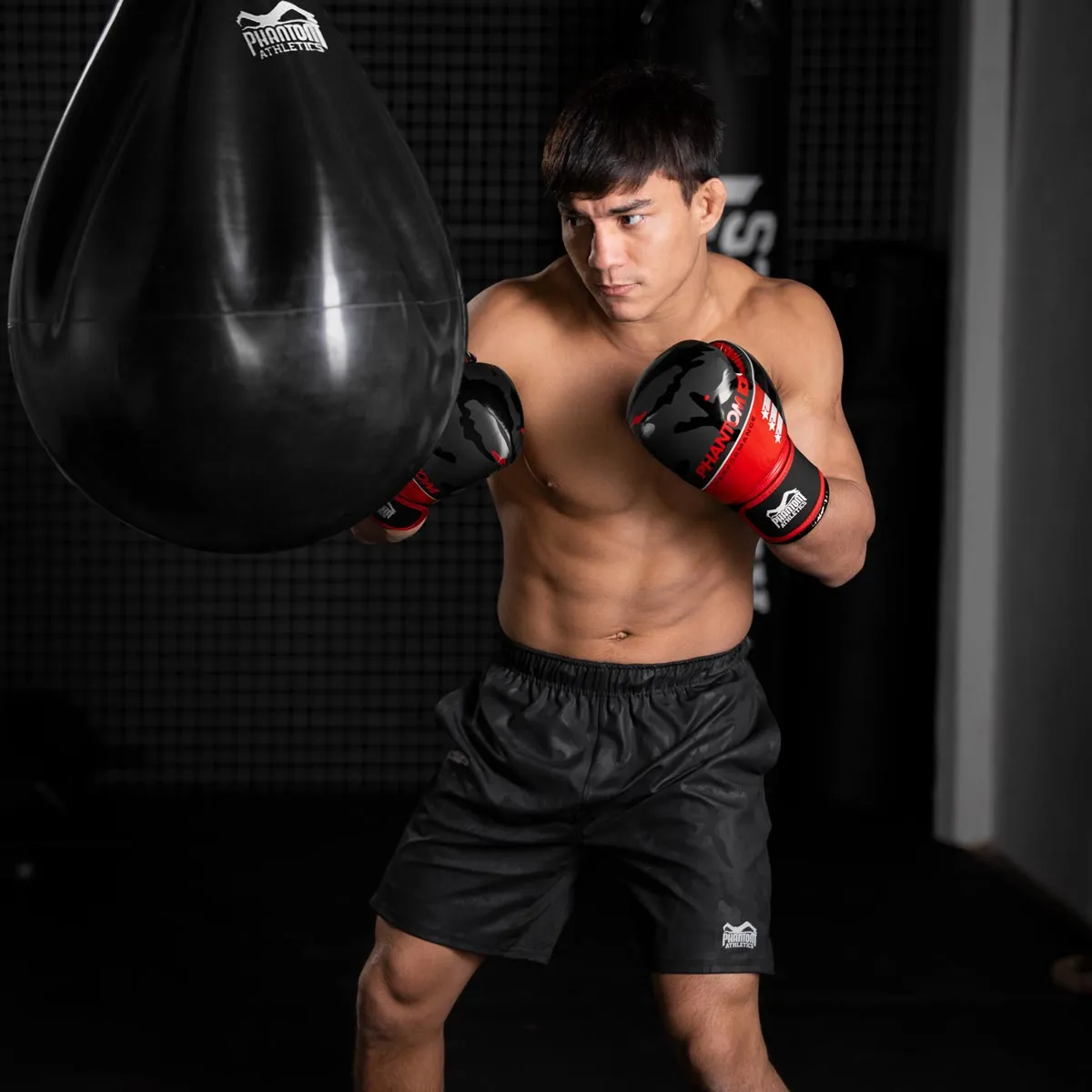 Boxhandschuhe RAIDER