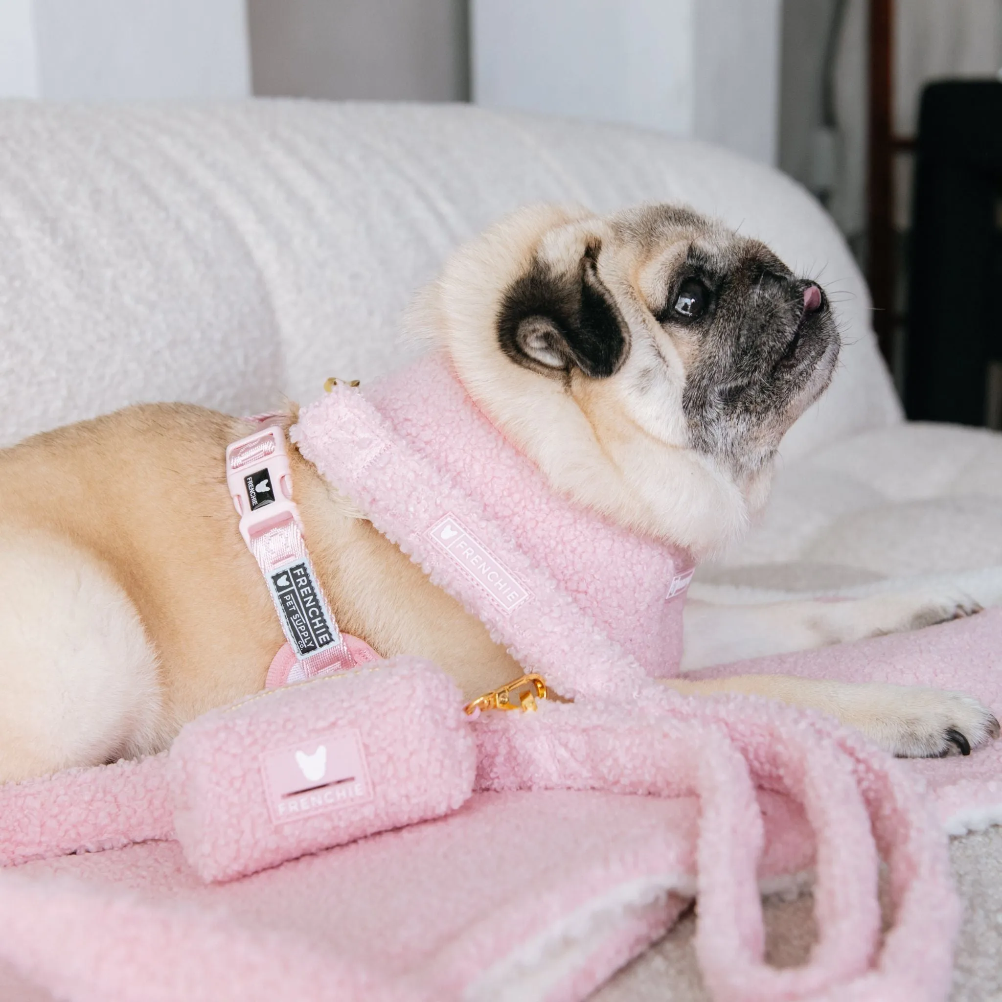 Frenchie Duo Reversible Harness - Teddy Pink