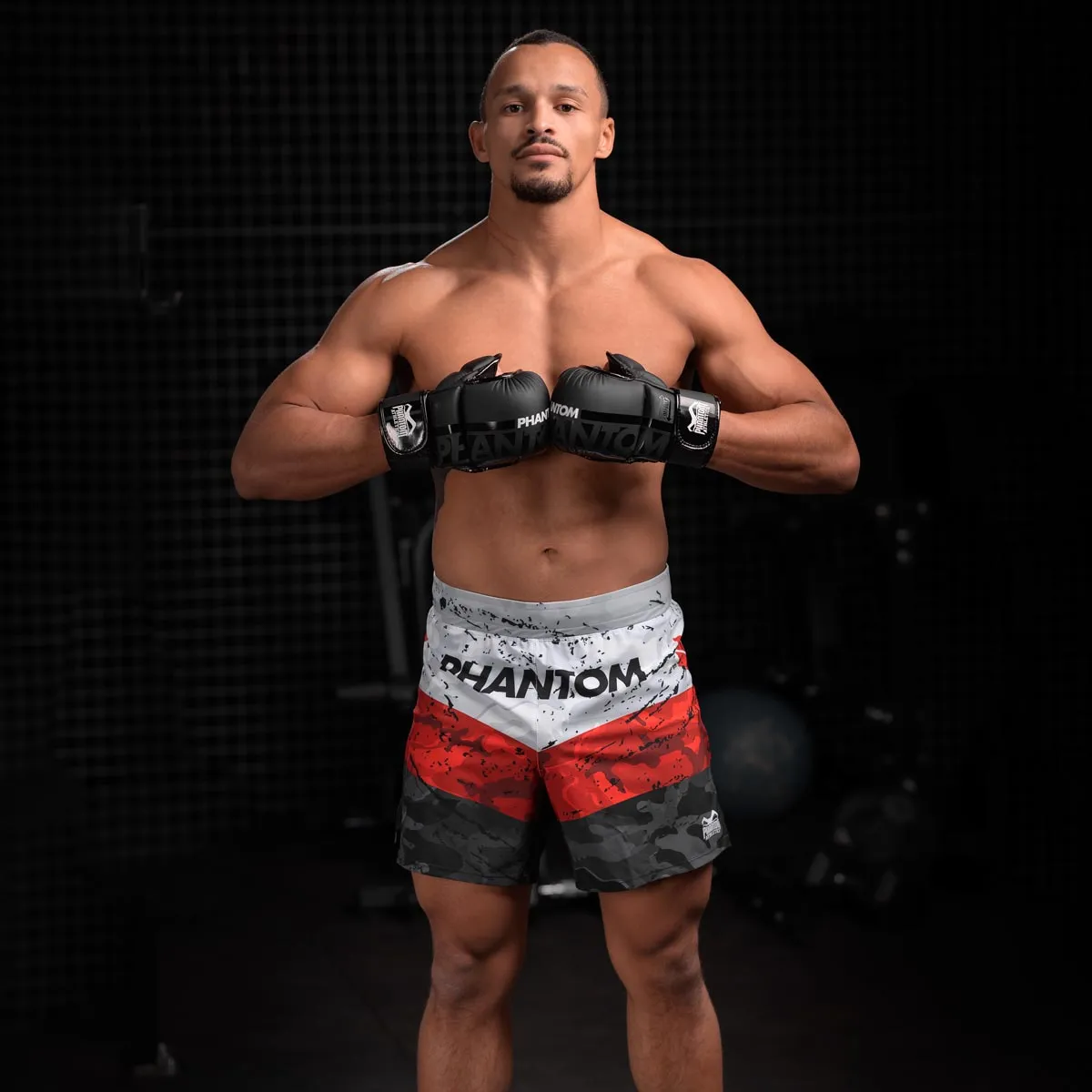 MMA Sparring Handschuhe APEX