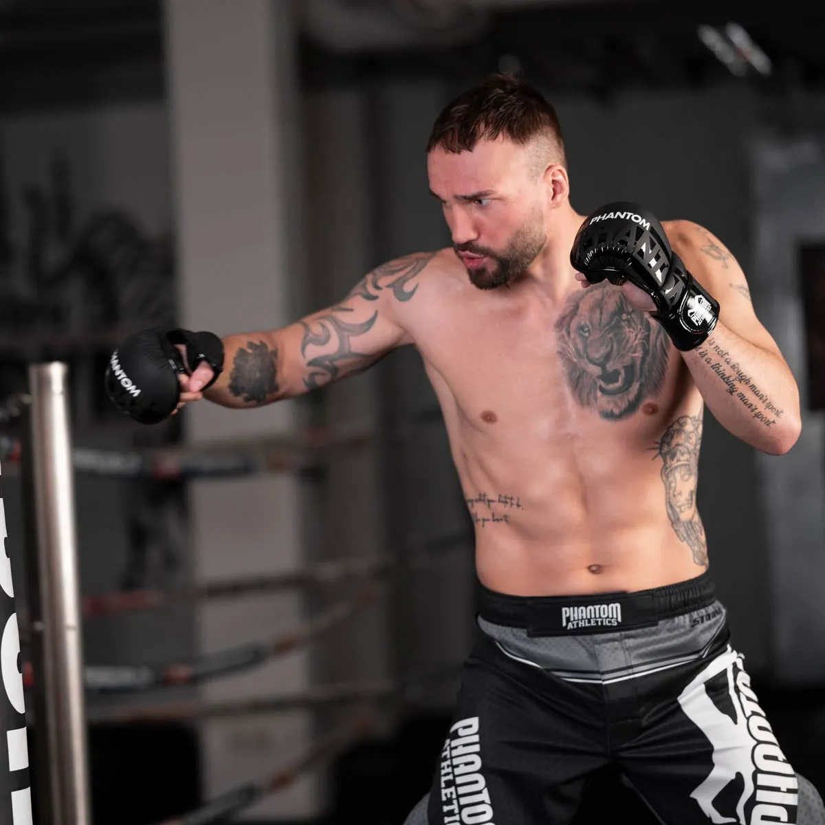 MMA Sparring Handschuhe APEX