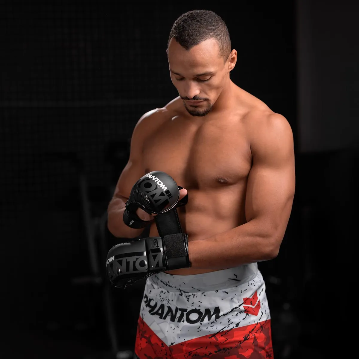 MMA Sparring Handschuhe APEX