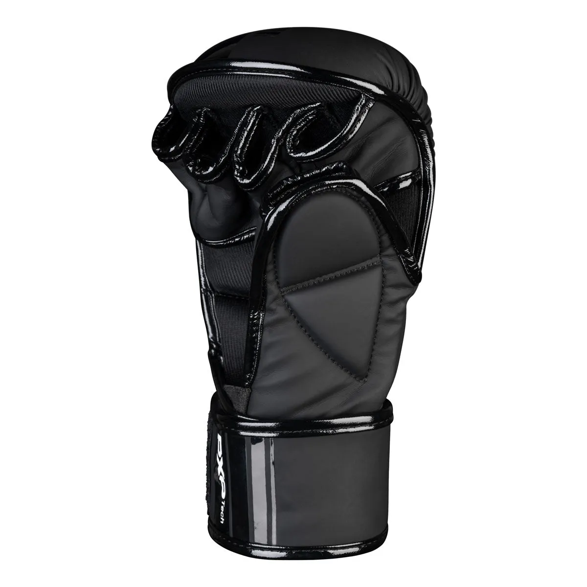 MMA Sparring Handschuhe APEX