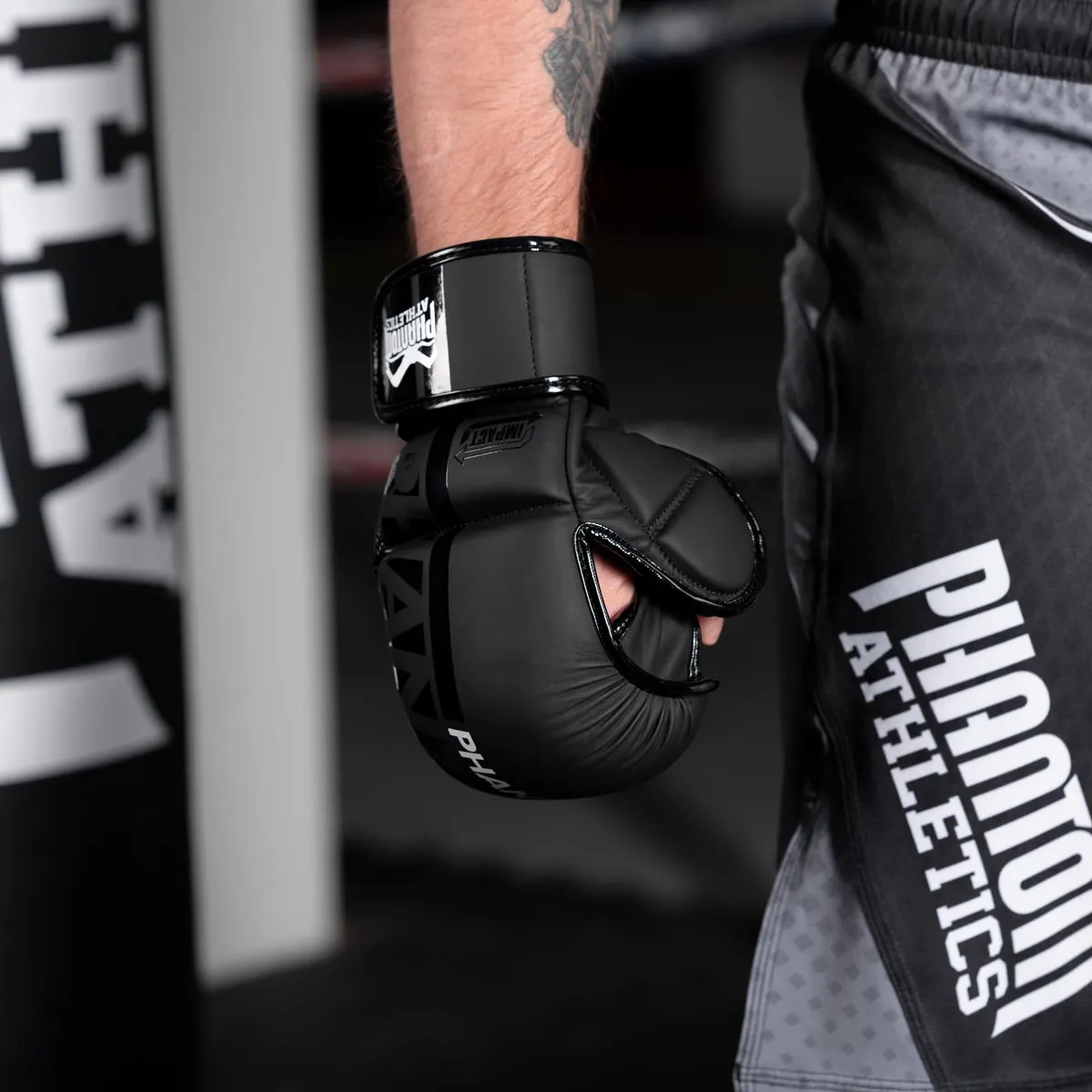 MMA Sparring Handschuhe APEX
