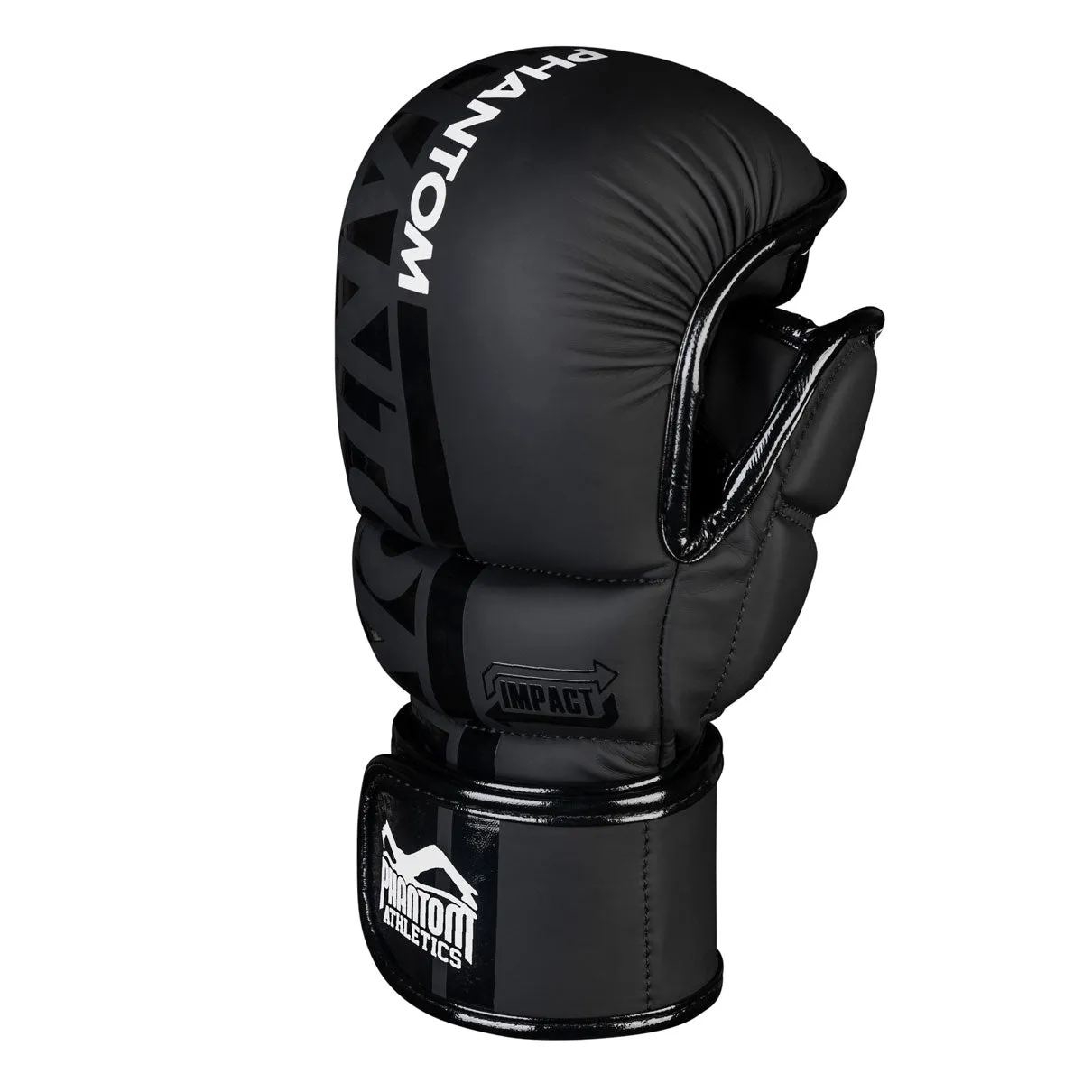 MMA Sparring Handschuhe APEX