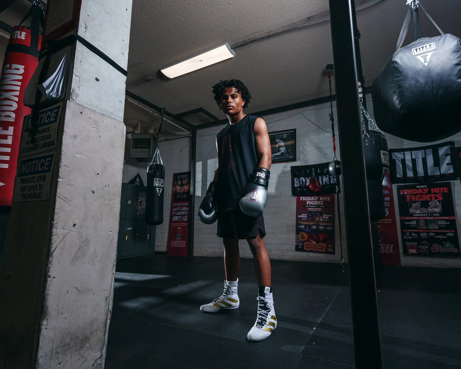 TITLE Platinum Proclaim Boxing Training Gloves