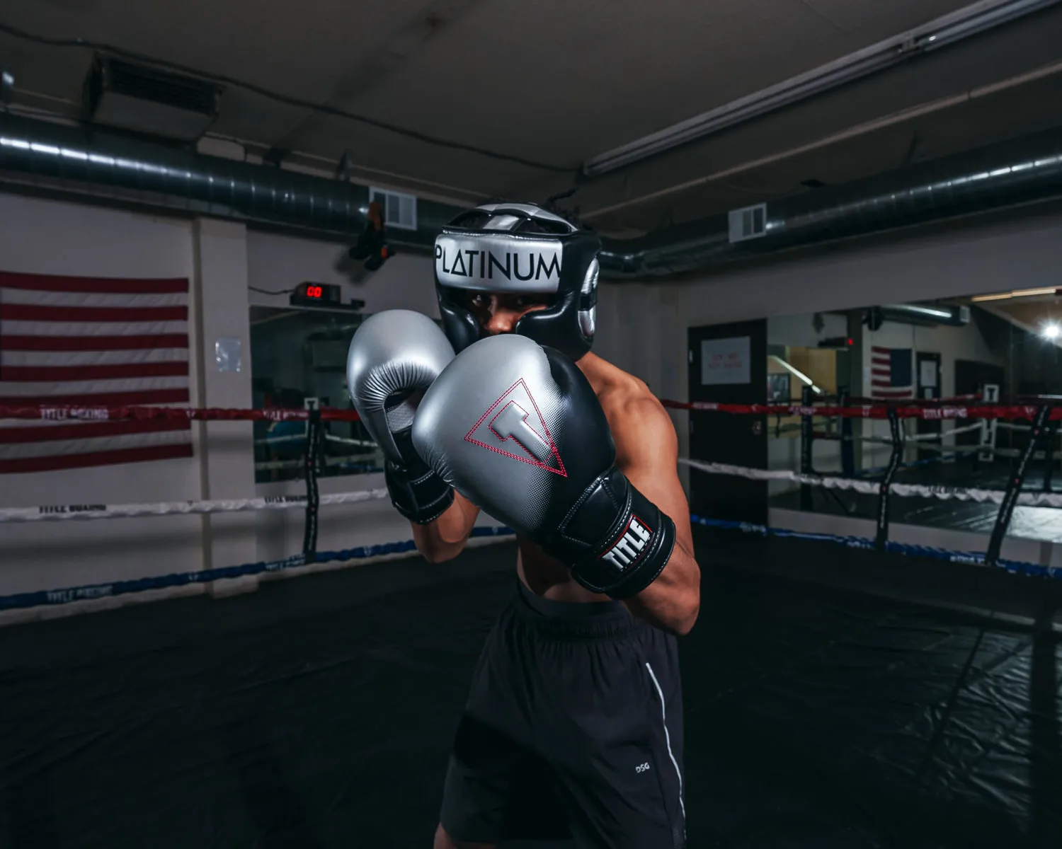 TITLE Platinum Proclaim Boxing Training Gloves